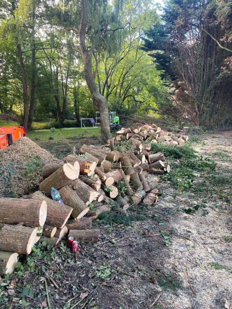 This is a photo of an overgrown large garden, which is in the process of having tree removal. The photo shows a stack of logs along the left hand side, from all the trees which are being removed. Photo taken by Lakenheath Tree Surgeons.