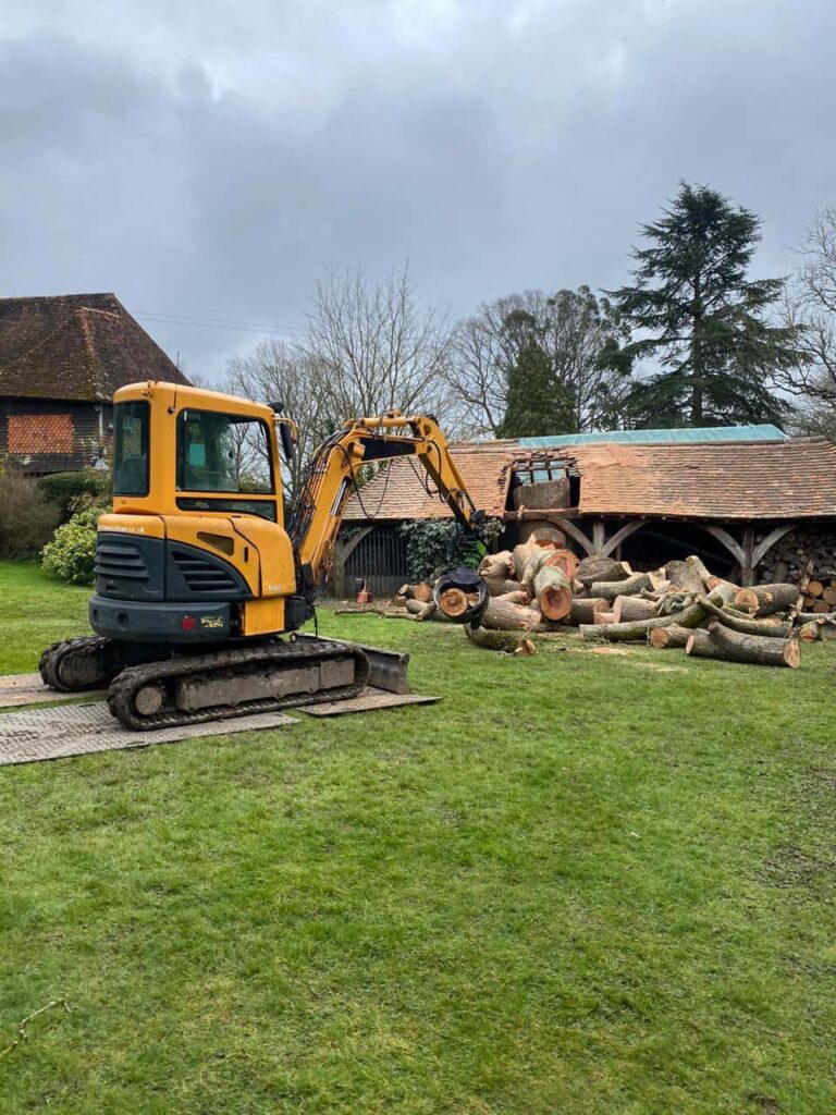 This is a photo of a country house, and the outbuilding has had a tree growing through its roof. The tree is currently being removed in the photo, and there are sections of the tree stump on the ground in front of the building. There is also a JCB which is being used to lift the sections of trunk. Photo taken by Lakenheath Tree Surgeons.